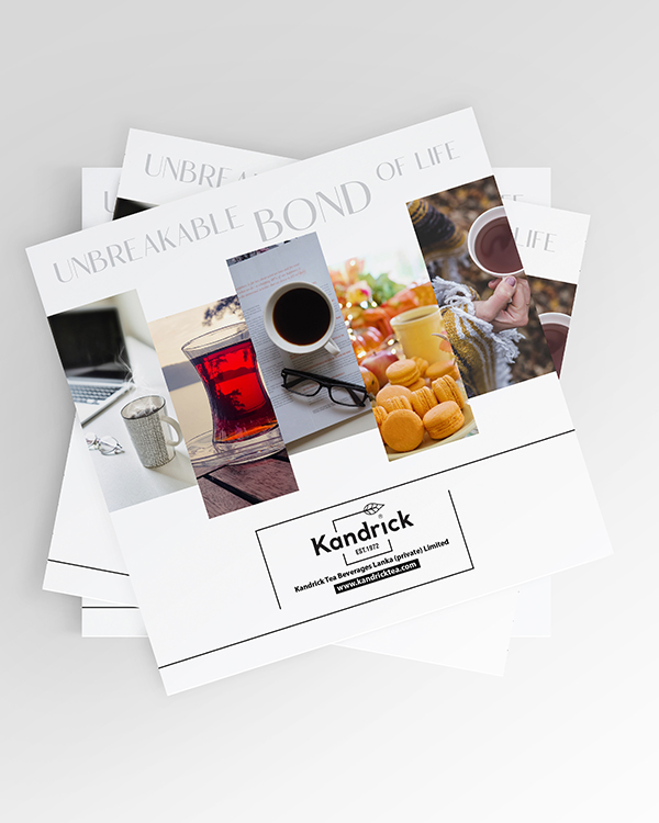 portfolio-image